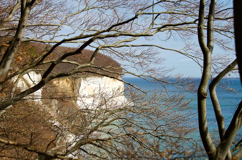 Mare Balticum Urlaub Auf Ruegen Aparthotel Sagard Exterior foto